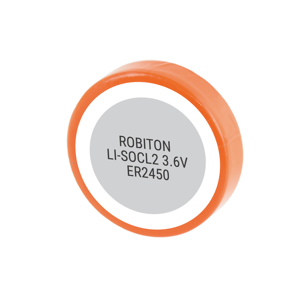 Элемент питания ROBITON ER2450